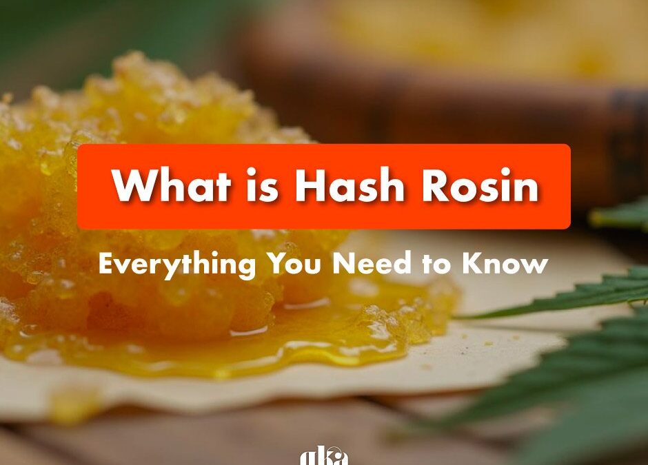 What is Hash Rosin? A Comprehensive Guide