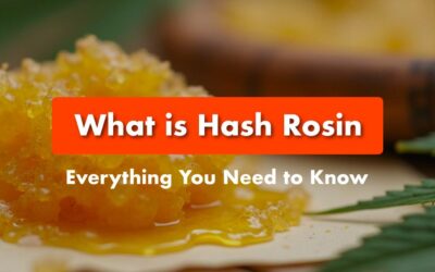 What is Hash Rosin? A Comprehensive Guide