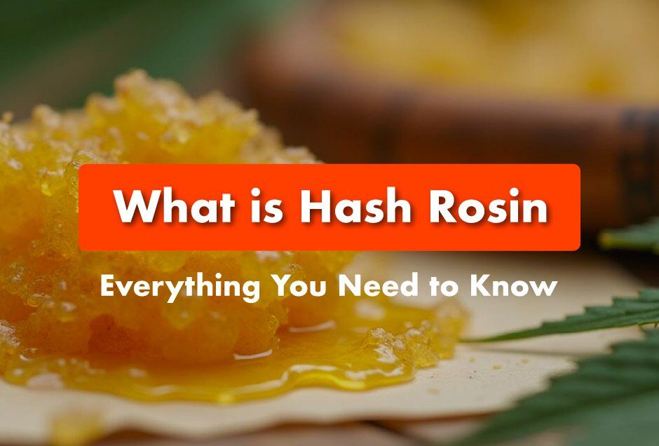 What is Hash Rosin? A Comprehensive Guide