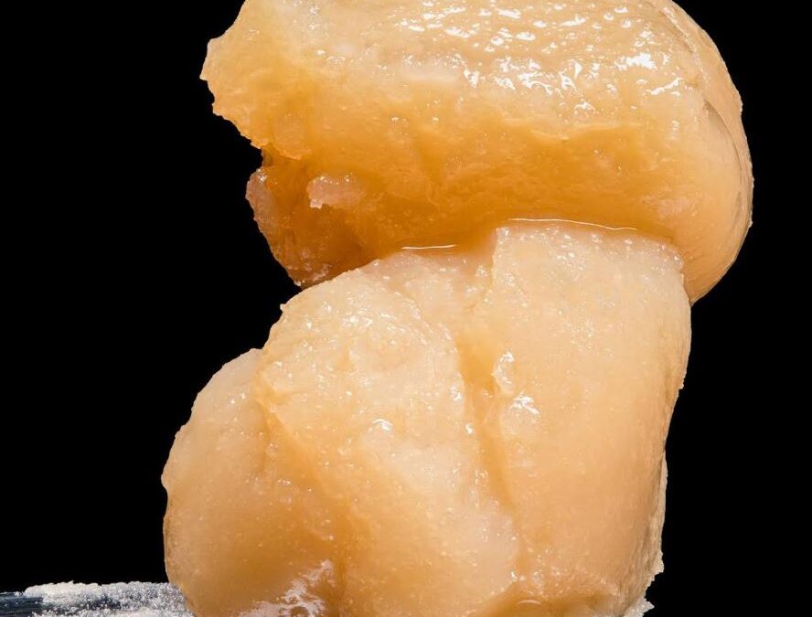 Kache Hash Rosin vs. Other Cannabis Concentrates: What You Need to Know