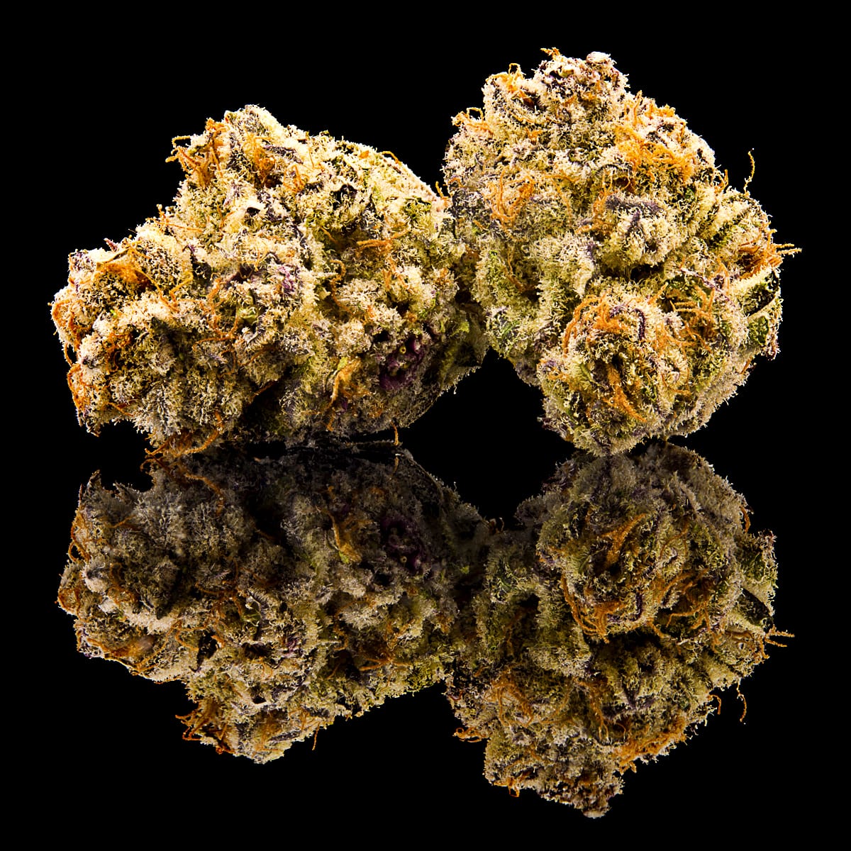 premium cannabis flowers