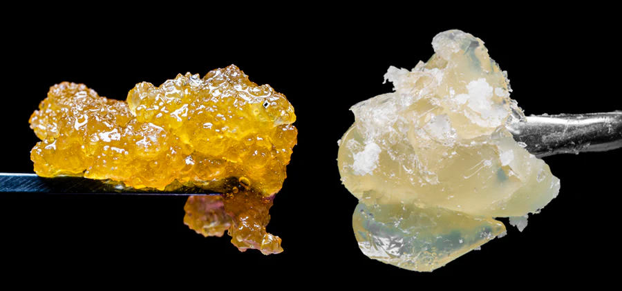 Live Resin vs. Hash Rosin: Understanding the Differences